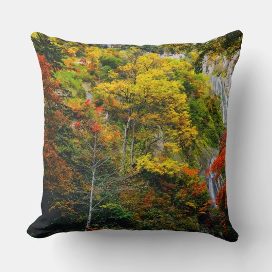 絵のように美しい景色の秋羽衣滝北海道 クッション (正面)