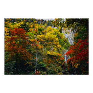 絵のように美しい景色の秋羽衣滝北海道 ポスター