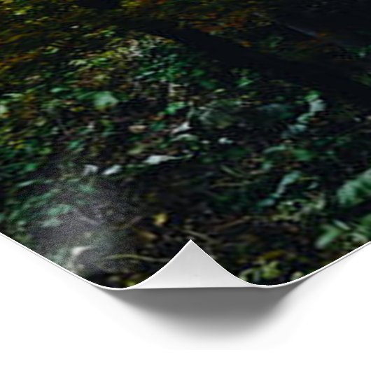 絵のように美しい景色の秋羽衣滝北海道 ポスター (コーナー)