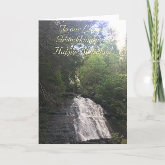 絵のように美しい、愛する孫娘、誕生日カード カード (正面)