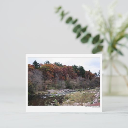 絵はがき ポストカード (スタンド正面)