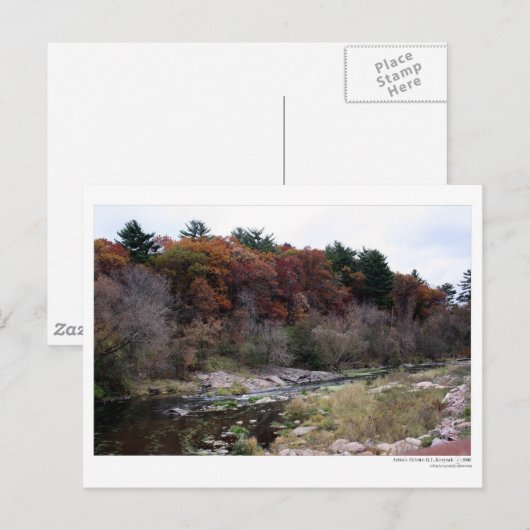 絵はがき ポストカード (正面/裏面)