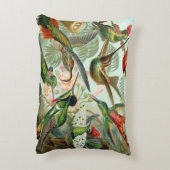 絵を描かれる描かれる12匹のアメリカのぶんぶんいう鳥の品種 アクセントクッション (裏面(縦))