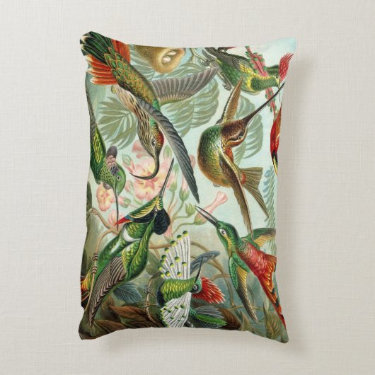 絵を描かれる描かれる12匹のアメリカのぶんぶんいう鳥の品種 アクセントクッション (裏面(縦))