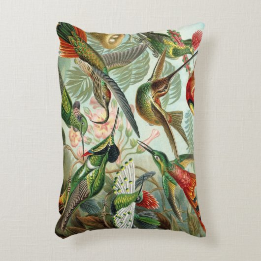 絵を描かれる描かれる12匹のアメリカのぶんぶんいう鳥の品種 アクセントクッション (正面(垂直))