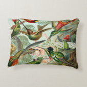 絵を描かれる描かれる12匹のアメリカのぶんぶんいう鳥の品種 アクセントクッション (裏面)