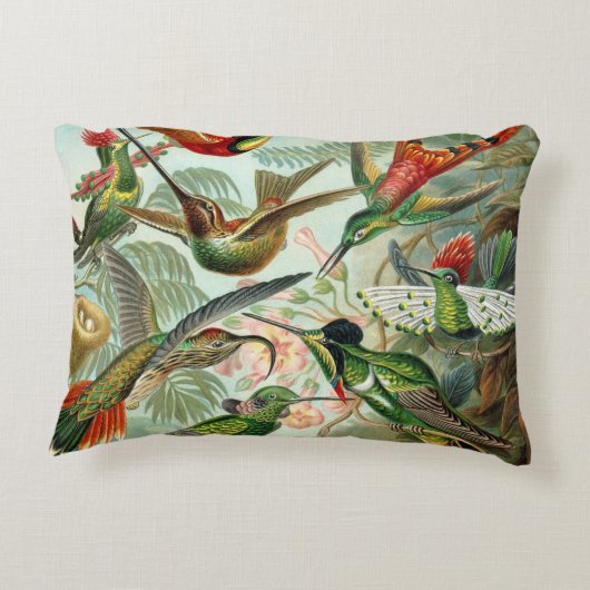 絵を描かれる描かれる12匹のアメリカのぶんぶんいう鳥の品種 アクセントクッション (裏面)