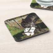 絵を描ウマ食べス女王アンレース花 コースター (左側)