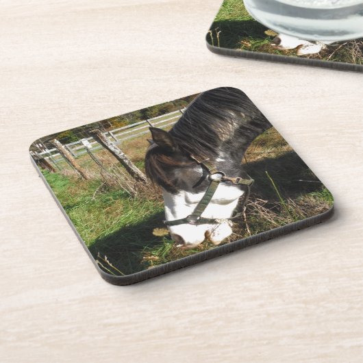 絵を描ウマ食べス女王アンレース花 コースター (左側)