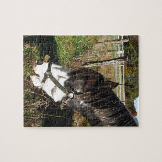 絵を描ウマ食べス女王アンレース花 ジグソーパズル (横)