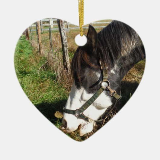 絵を描ウマ食べス女王アンレース花 セラミックオーナメント (正面)