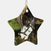 絵を描ウマ食べス女王アンレース花 セラミックオーナメント (右)