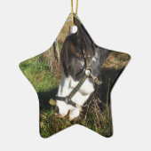 絵を描ウマ食べス女王アンレース花 セラミックオーナメント (左)