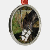 絵を描ウマ食べス女王アンレース花 メタルオーナメント (右)