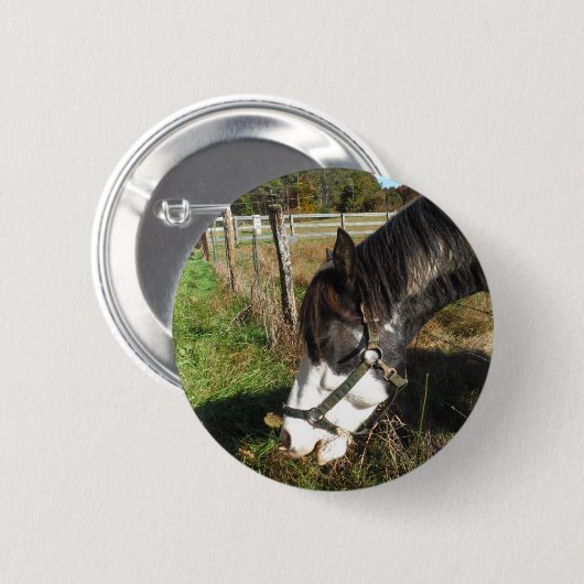 絵を描ウマ食べス女王アンレース花 缶バッジ (正面&裏面)