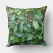 絵を描ガーデン葉グリー クッション (裏面)