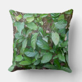 絵を描ガーデン葉グリー クッション (正面)