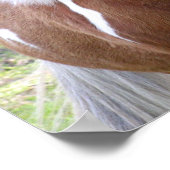 絵を描クォーター馬プリント ポスター (角)