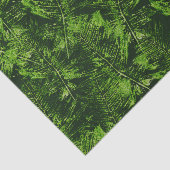 絵を描シダ 薄葉紙 (詳細)