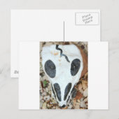 絵を描スカル ポストカード (正面/裏面)