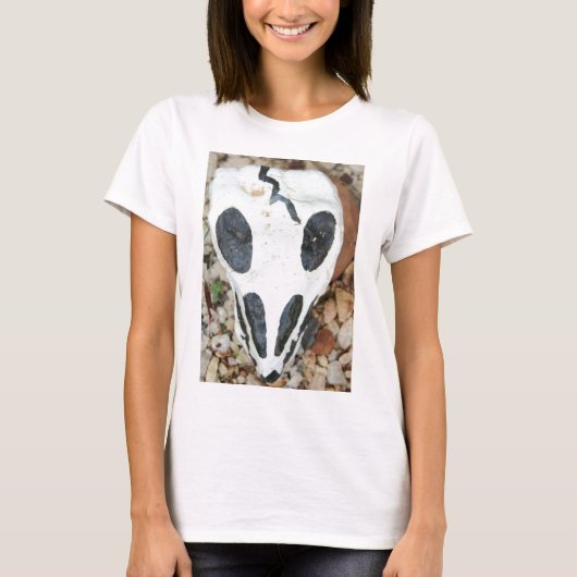 絵を描スカル Tシャツ (正面)