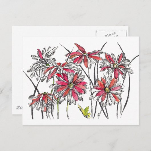 絵を描デイジーフラワーズボタニカルアートインクスケッチ ポストカード (正面/裏面)