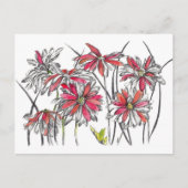 絵を描デイジーフラワーズボタニカルアートインクスケッチ ポストカード (正面)