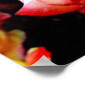 絵を描バラ ポスター (角)