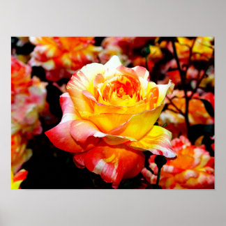 絵を描バラ ポスター