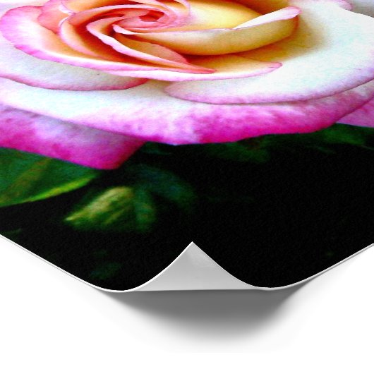 絵を描バラ ポスター (角)