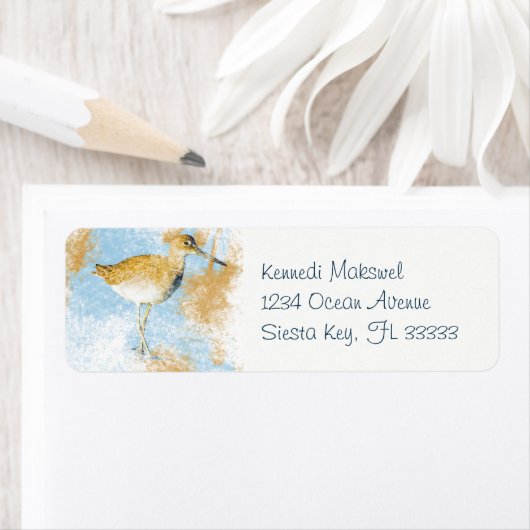 絵を描ビーチ沿岸ウィレット鳥 ラベル (インサイチュ)