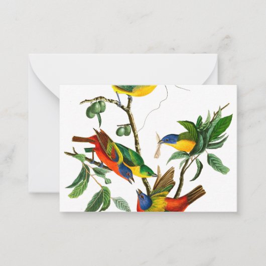 絵を描フィンチ ノートカード (正面)