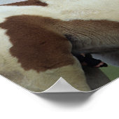 絵を描フォル遊ス ポスター (角)