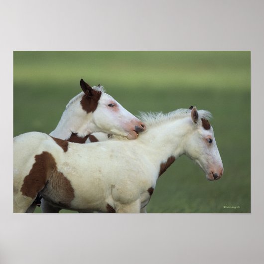 絵を描フォル遊ス ポスター (正面)