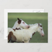 絵を描フォル遊ス ポストカード (正面/裏面)