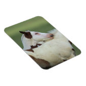 絵を描フォル遊ス マグネット (右側)