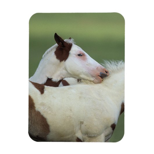 絵を描フォル遊ス マグネット (縦)