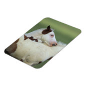 絵を描フォル遊ス マグネット (左側)