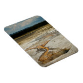 絵を描プレミアム磁石 マグネット (右側)