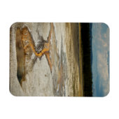 絵を描プレミアム磁石 マグネット (横)