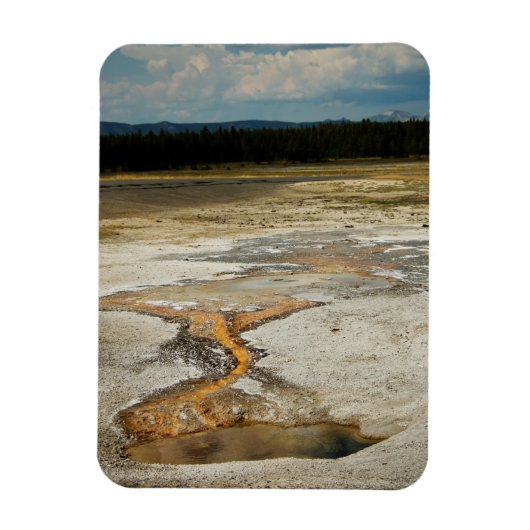 絵を描プレミアム磁石 マグネット (縦)