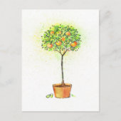 絵を描ポットの水色かんきつ ポストカード (正面)