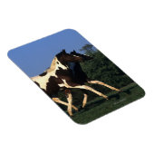 絵を描ランニング病 マグネット (右側)