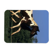 絵を描ランニング病 マグネット (横)