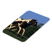 絵を描ランニング病 マグネット (左側)