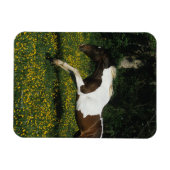 絵を描ランニング馬の花の分野 マグネット (横)