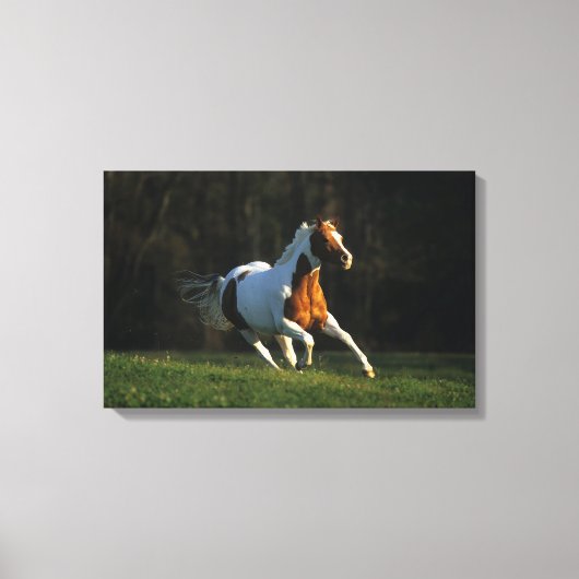 絵を描ランニング馬の速さ キャンバスプリント (正面)