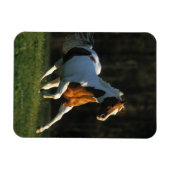 絵を描ランニング馬の速さ マグネット (横)