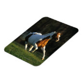 絵を描ランニング馬の速さ マグネット (左側)