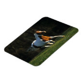 絵を描ランニング馬の速さ マグネット (左側)